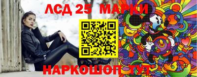стаф Сланцы