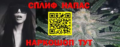 стаф Сланцы