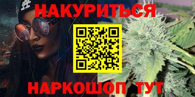 стаф Сланцы