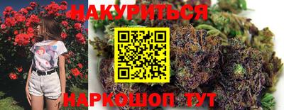 стаф Сланцы