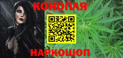 стаф Сланцы