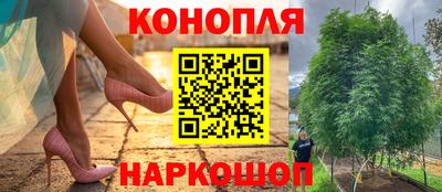 стаф Сланцы