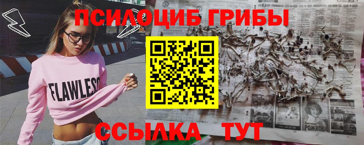 Галлюциногенные грибы Psilocybe  Галлюциногенные грибы прущие грибы  Вход с VPN  Санкт-Петербург 